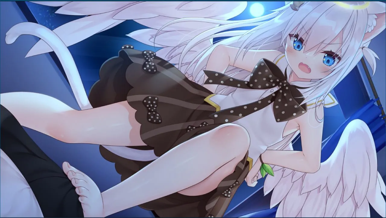 家喵二三事 Vol.1 STEAM官中