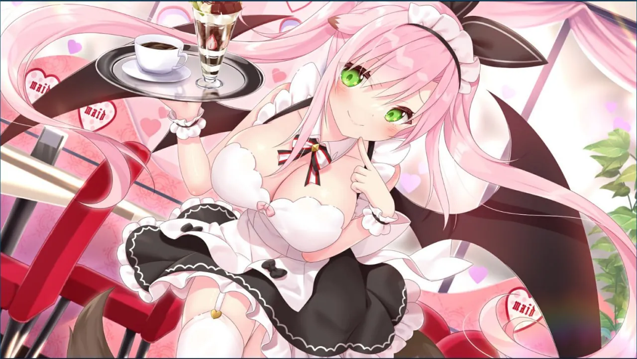 家喵二三事 Vol.1 STEAM官中