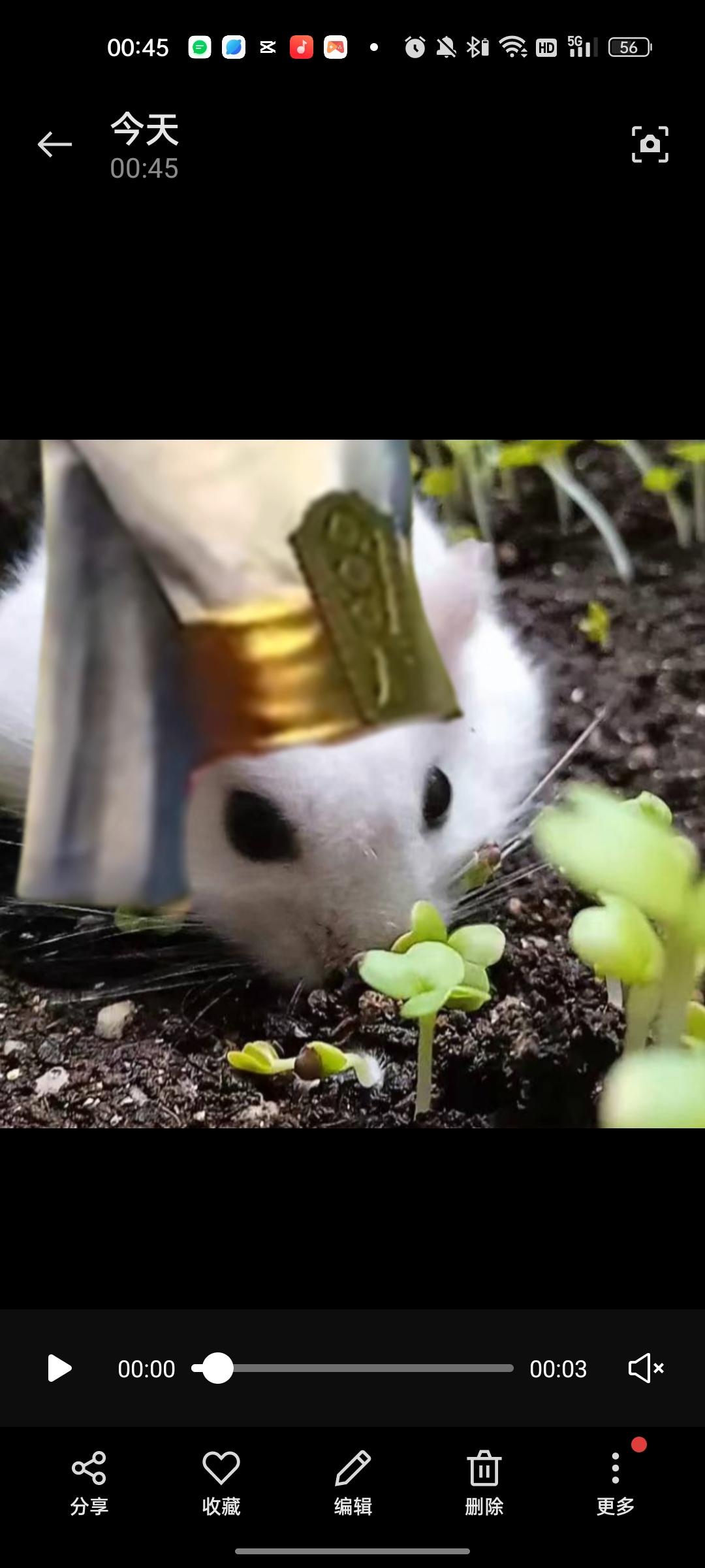 靤坊苏丹的头像-鹿星语